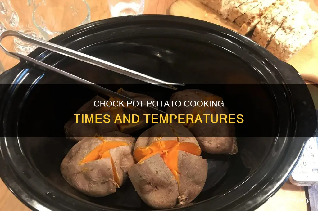 how long to cook ootatoes in crock pot