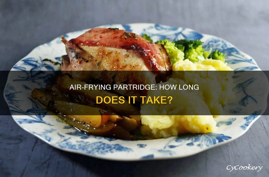 how long to cook partridge in air fryer