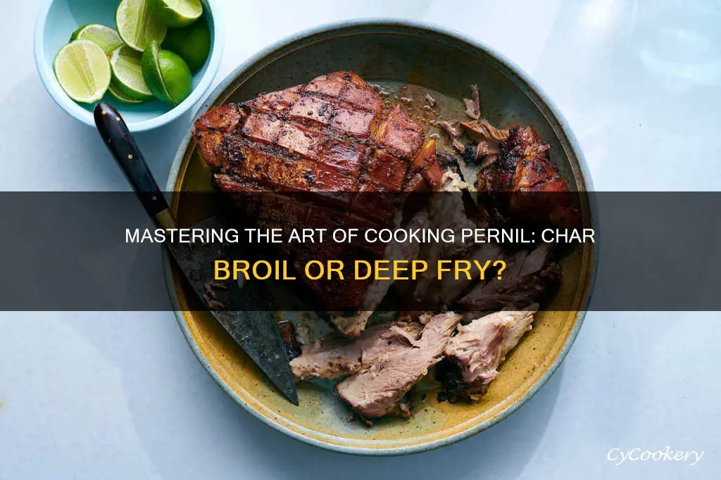 how long to cook pernil char broil deep fryer