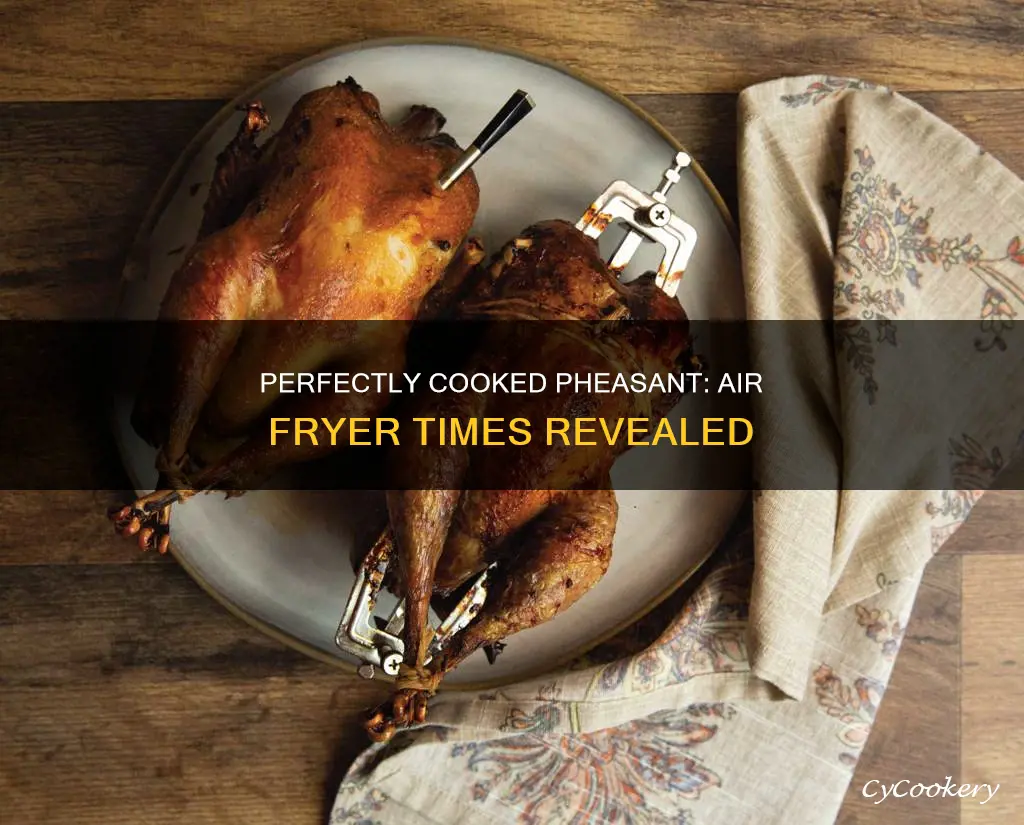 how long to cook pheasant in air fryer