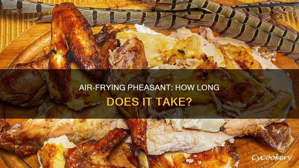 how long to cook pheasant in air fryer