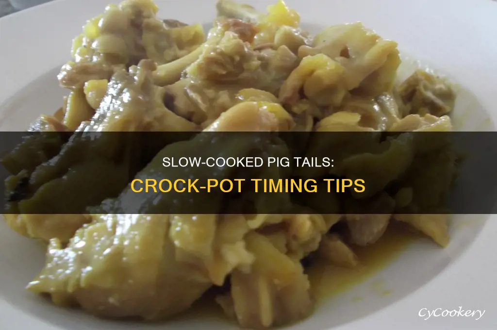 how long to cook pig tails in crock pot