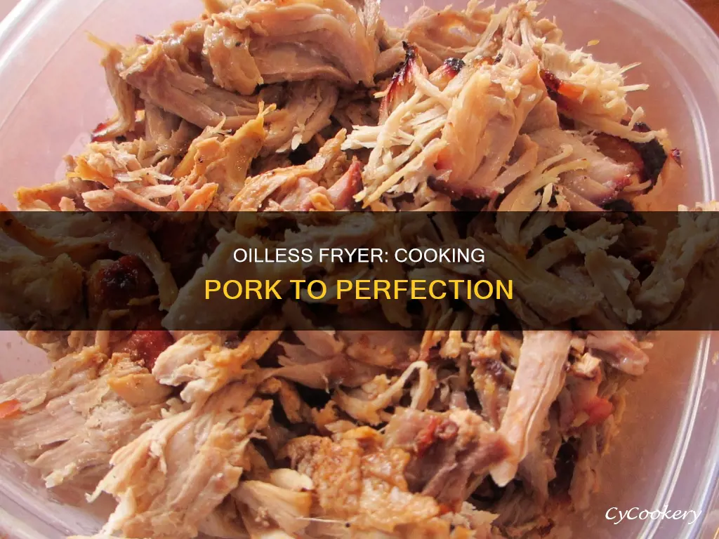 how long to cook pork but in oilless fryer