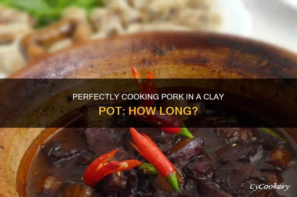 how long to cook pork in clay pot