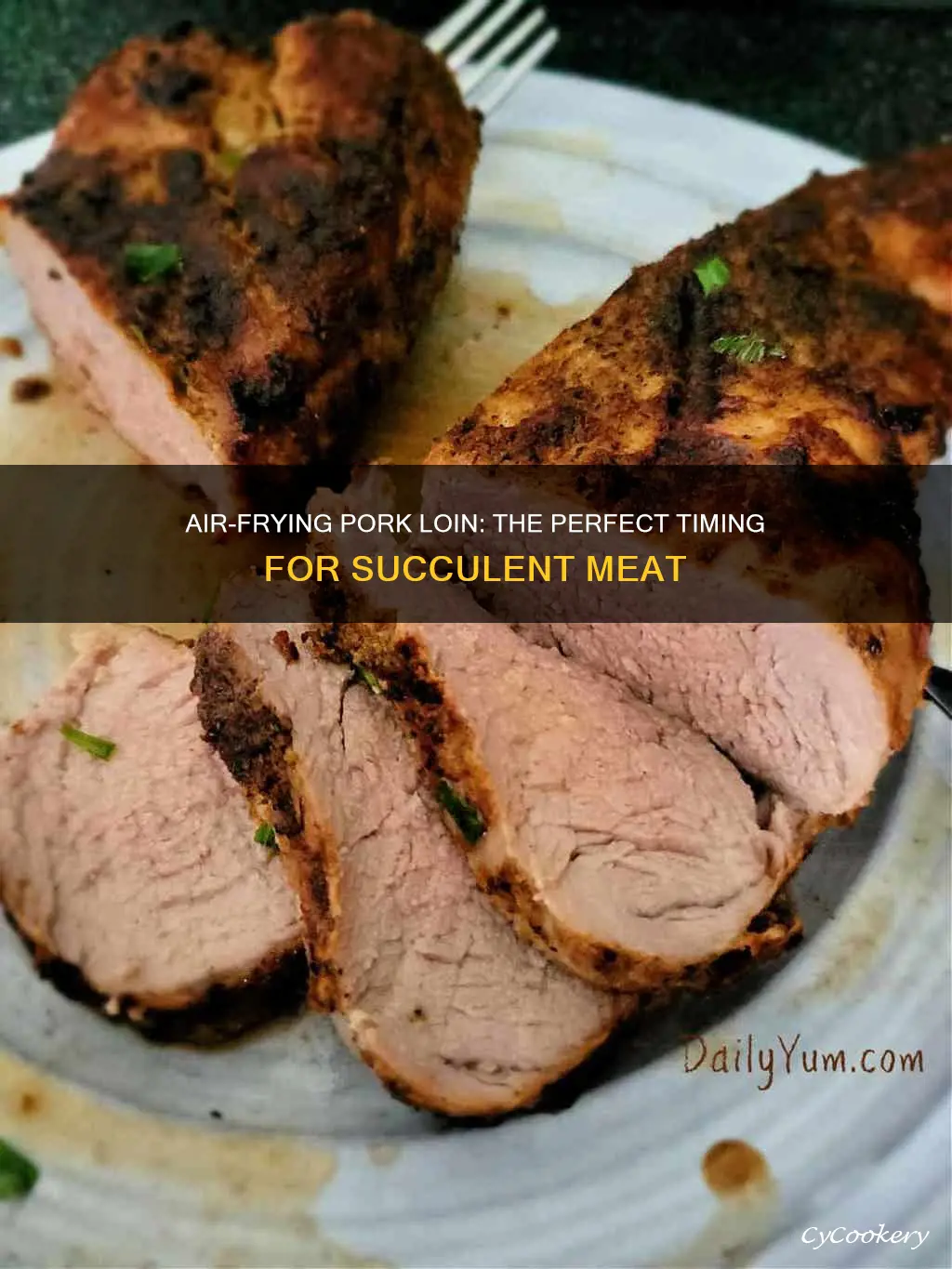 how long to cook pork loin in nuwave air fryer
