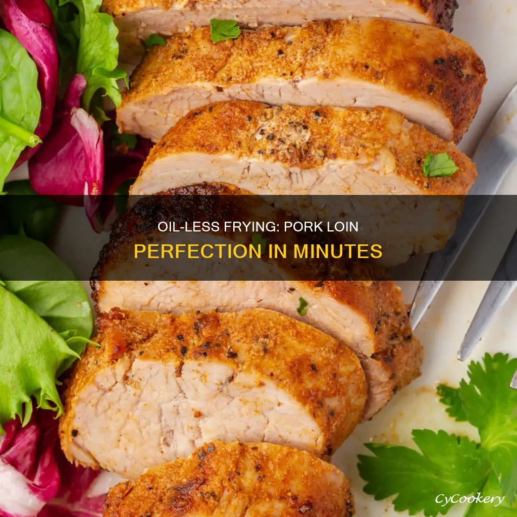 how long to cook pork loin in oil less fryer