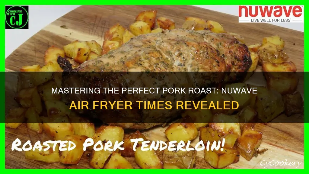 Mastering The Perfect Pork Roast: Nuwave Air Fryer Times Revealed ...