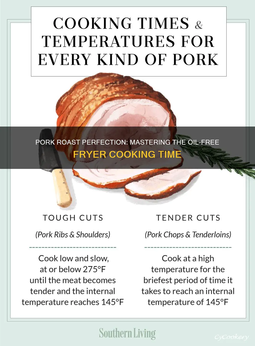 how long to cook pork roast in oil less fryer