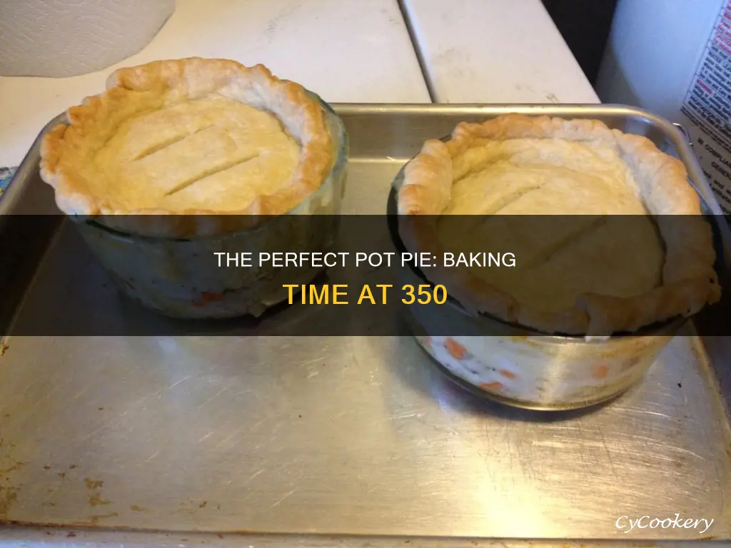 how long to cook pot pie at 350