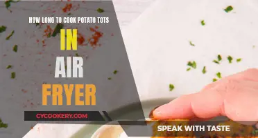 Air Fryer Potato Tots: Perfect Timing for Crunchy Treats