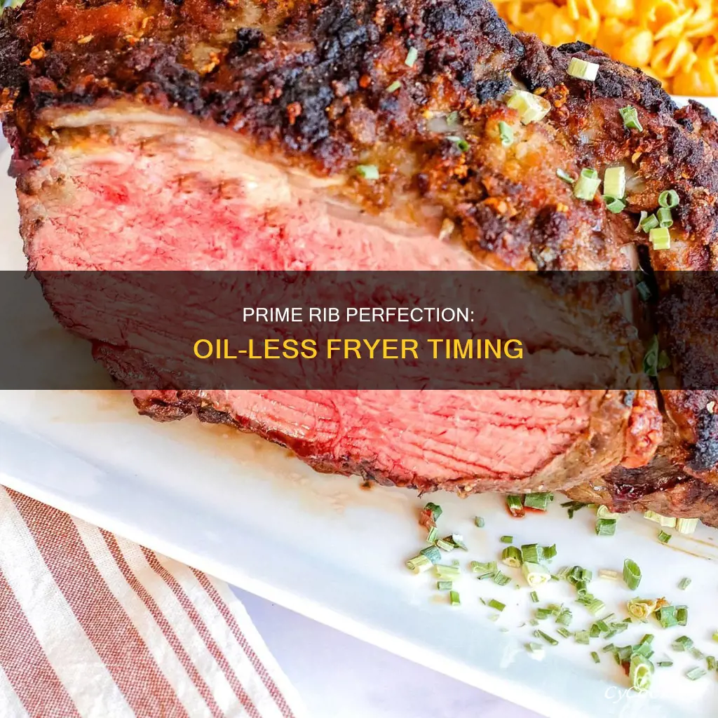 how long to cook prime rib in oil less fryer