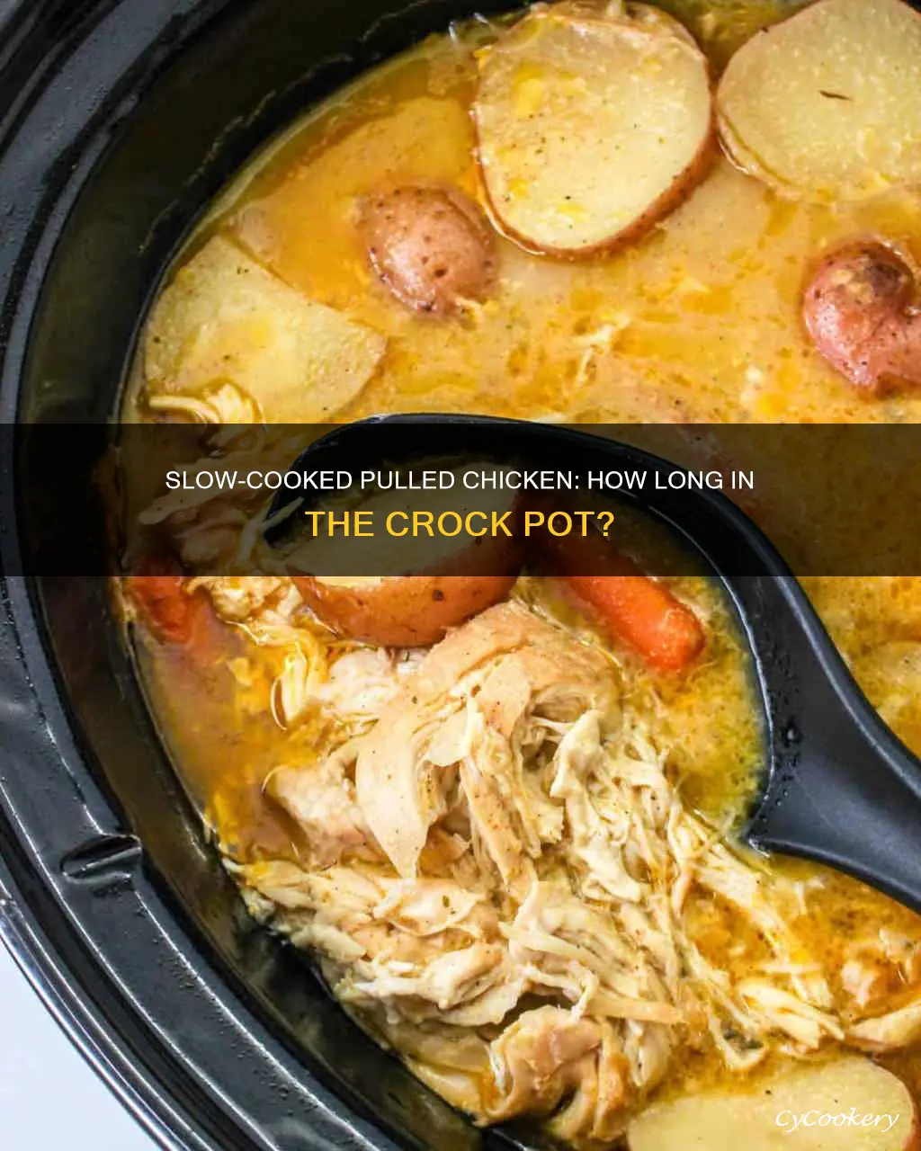 how long to cook pulled chicken in crock pot