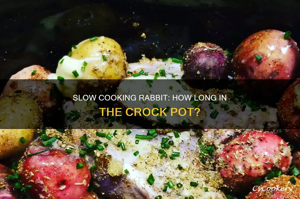how long to cook rabbit in a crock pot