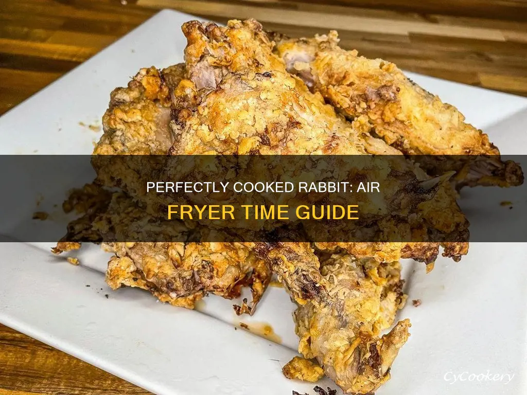 how long to cook rabbit in air fryer