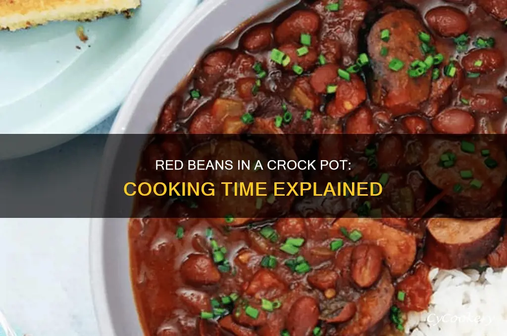 how long to cook red beabs in a crock pot