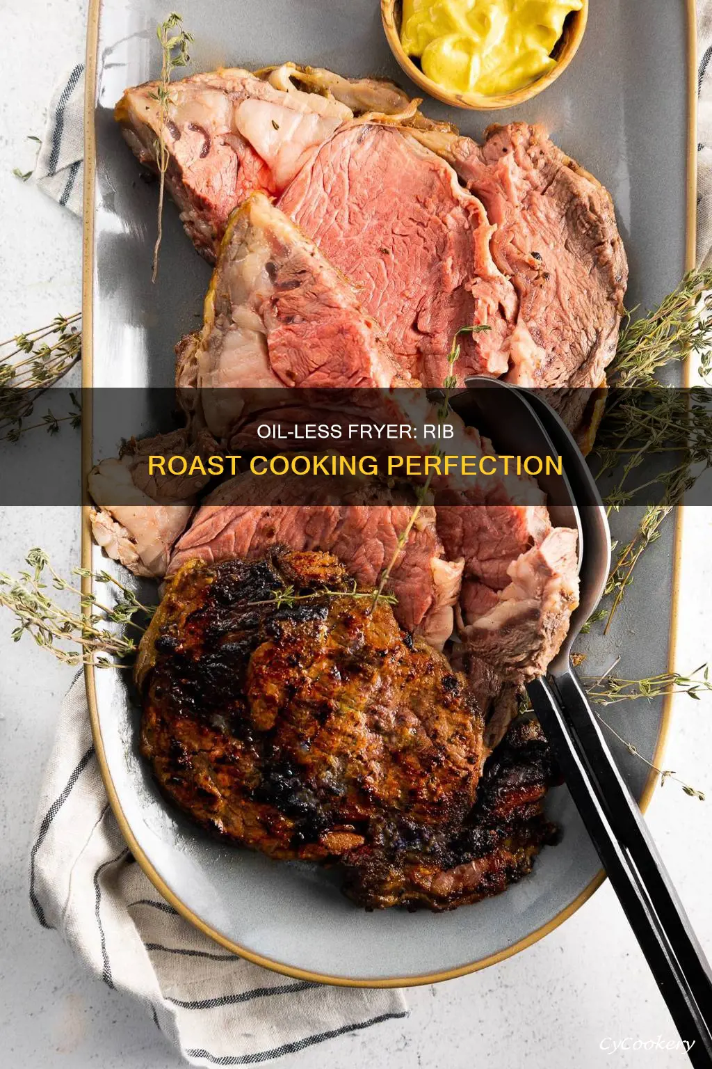 how long to cook rib roast in oil less fryer