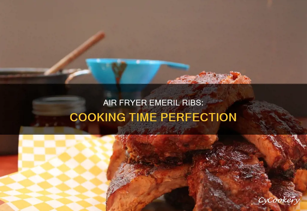 how long to cook ribs in air fryer emeril