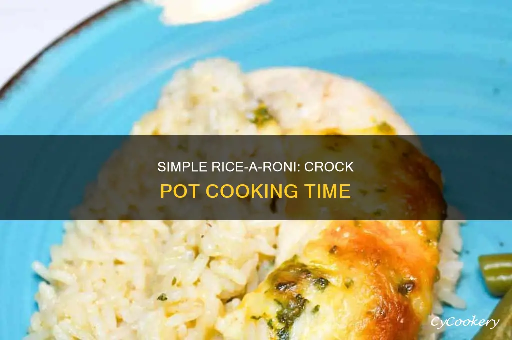 how long to cook rice a roni in crock pot