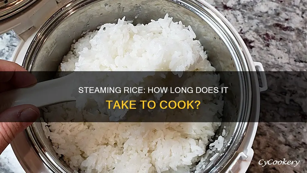 how long to cook rice in a steamer