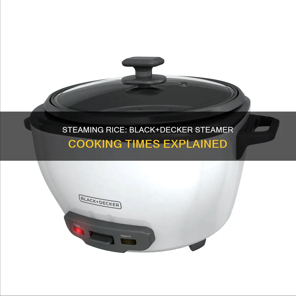 how long to cook rice in black and decker steamer