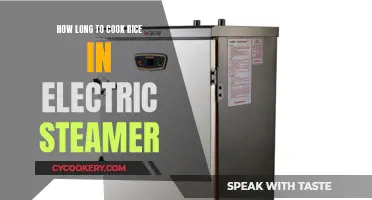 The Perfect Rice: Electric Steamer Cooking Times Explained