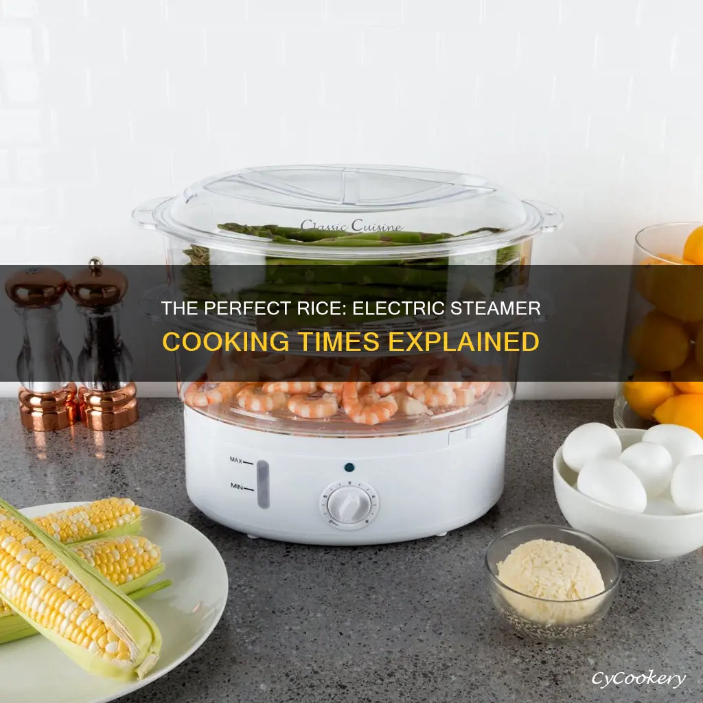 how long to cook rice in electric steamer