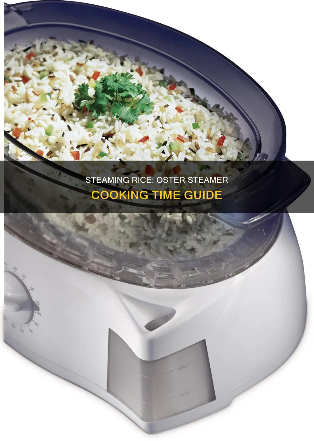 how long to cook rice in oster steamer