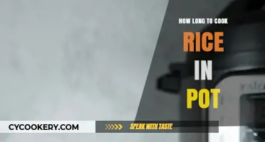 Cooking Rice: The Perfect Timing for Pot Cooking