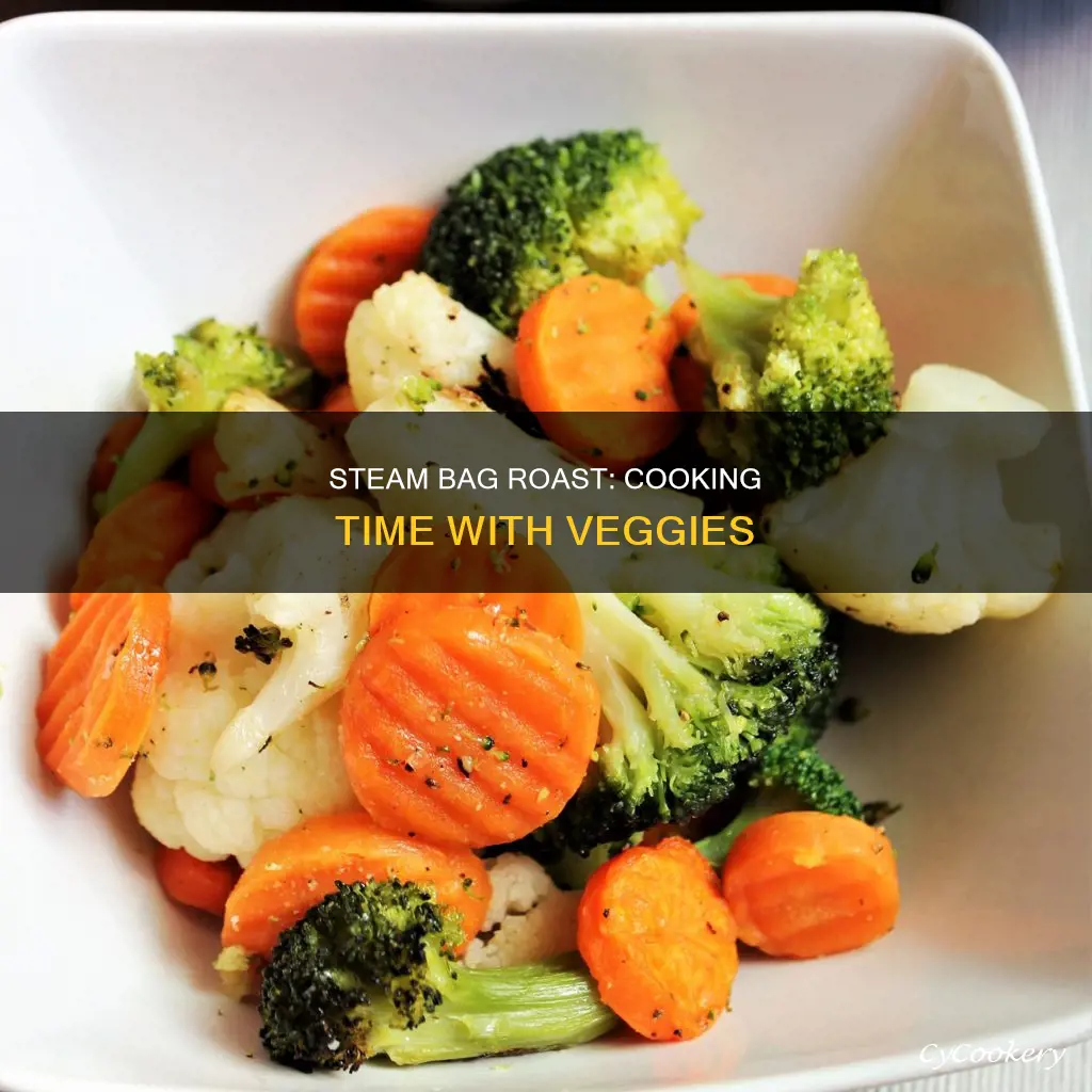 how long to cook roast in steam bag with veggies