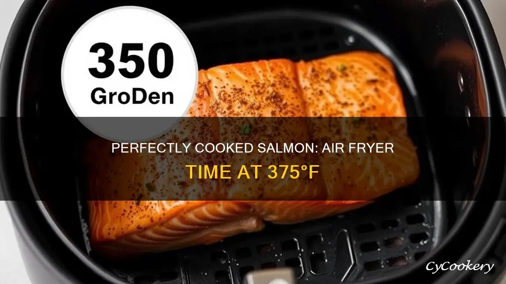 how long to cook salmon air fryer at 375