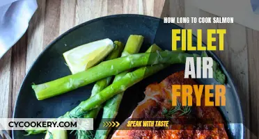 Air Fryer Salmon Fillet: Perfectly Cooked in Minutes
