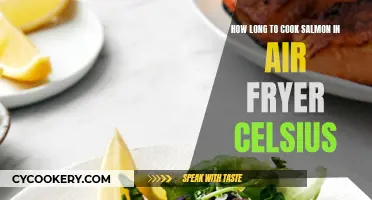 Perfectly Cooked Salmon in Air Fryer: Celsius Guide