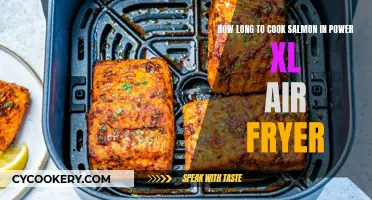 Perfectly Cooked Salmon: Power XL Air Fryer Times Revealed