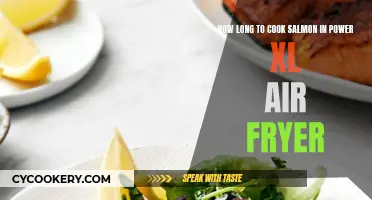 Air-Frying Salmon: Power XL Cook Times and Tips