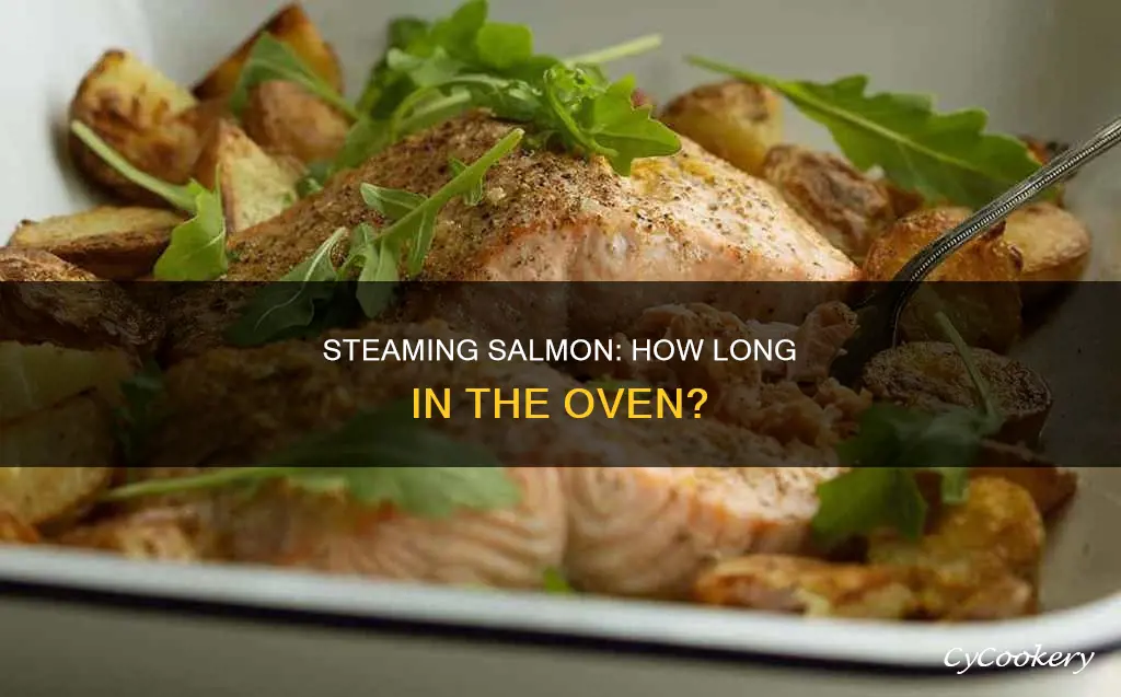 how long to cook salmon in steam oven