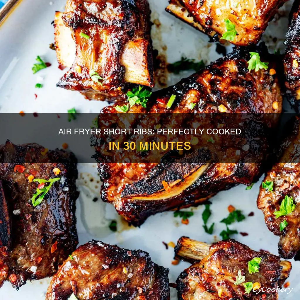 how long to cook short ribs in a air fryer