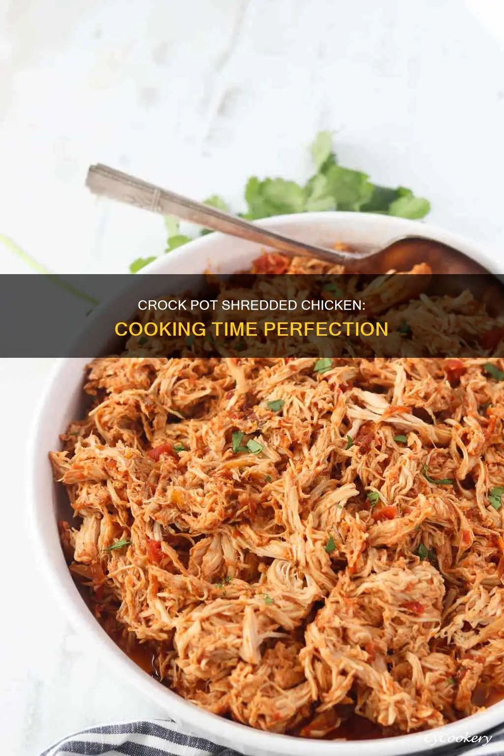 how long to cook shredded chicken in crock pot