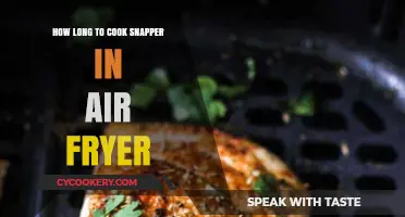 Crispy Snapper: Quick Air Fryer Cooking Guide