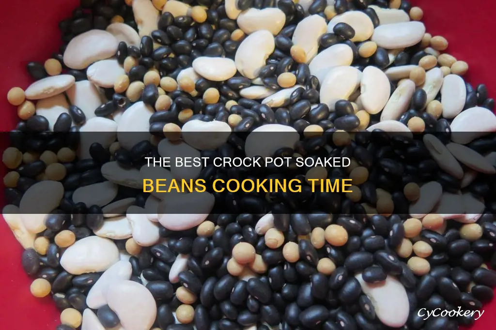how long to cook soaked beans in crock pot