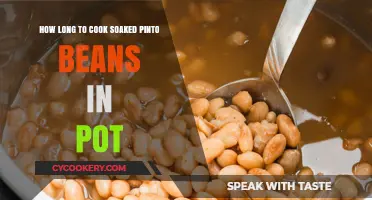 Perfectly Cooking Soaked Pinto Beans: How Long?