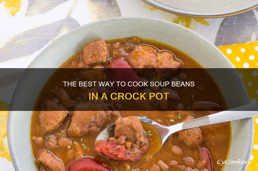 how long to cook soup beans in a crock pot