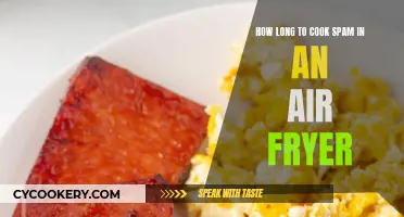 Crispy Spam: Air Fryer Cooking Time Revealed