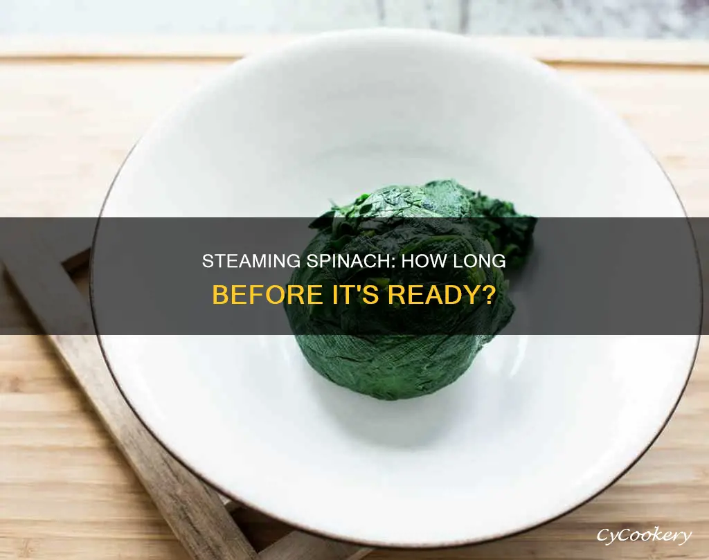 how long to cook spinach in a steamer