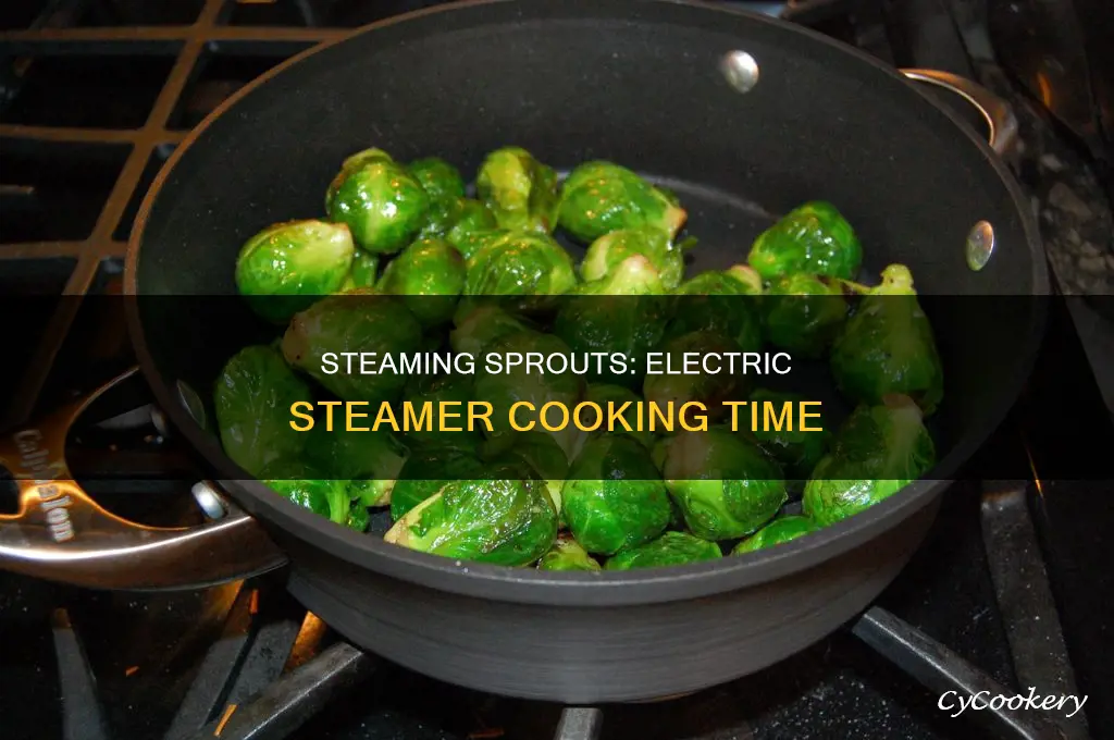 how long to cook sprouts in electric steamer