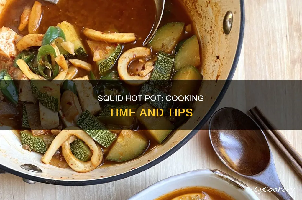 how long to cook squid hot pot
