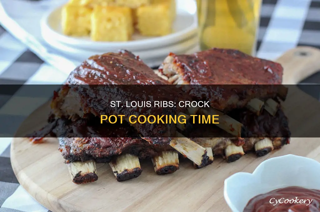 how long to cook st louis ribs in crock pot