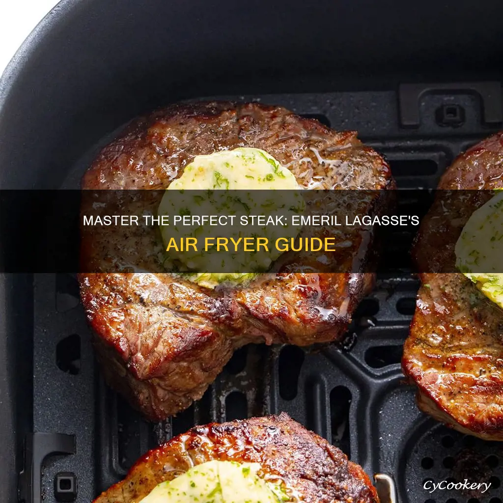 how long to cook steak in emeril lagasse air fryer