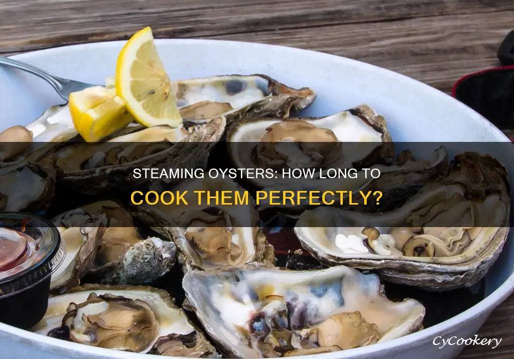 how long to cook steamed oysters