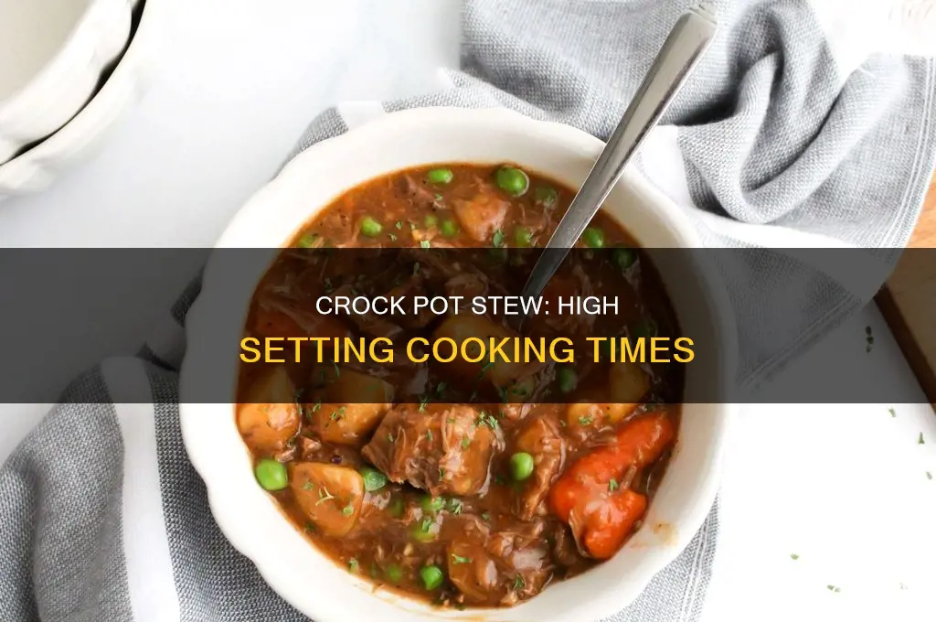 how long to cook stew in crock pot on high