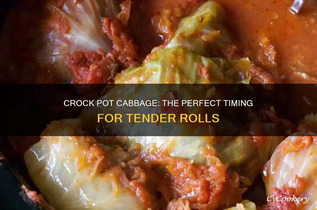 how long to cook stuffed cabbage in a crock pot